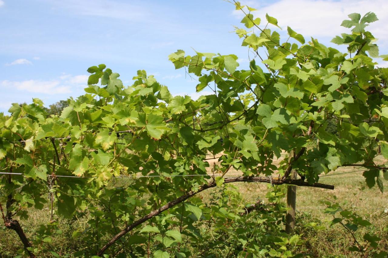 Chalet Aux Pied Des Vignes Montigny  Zewnętrze zdjęcie